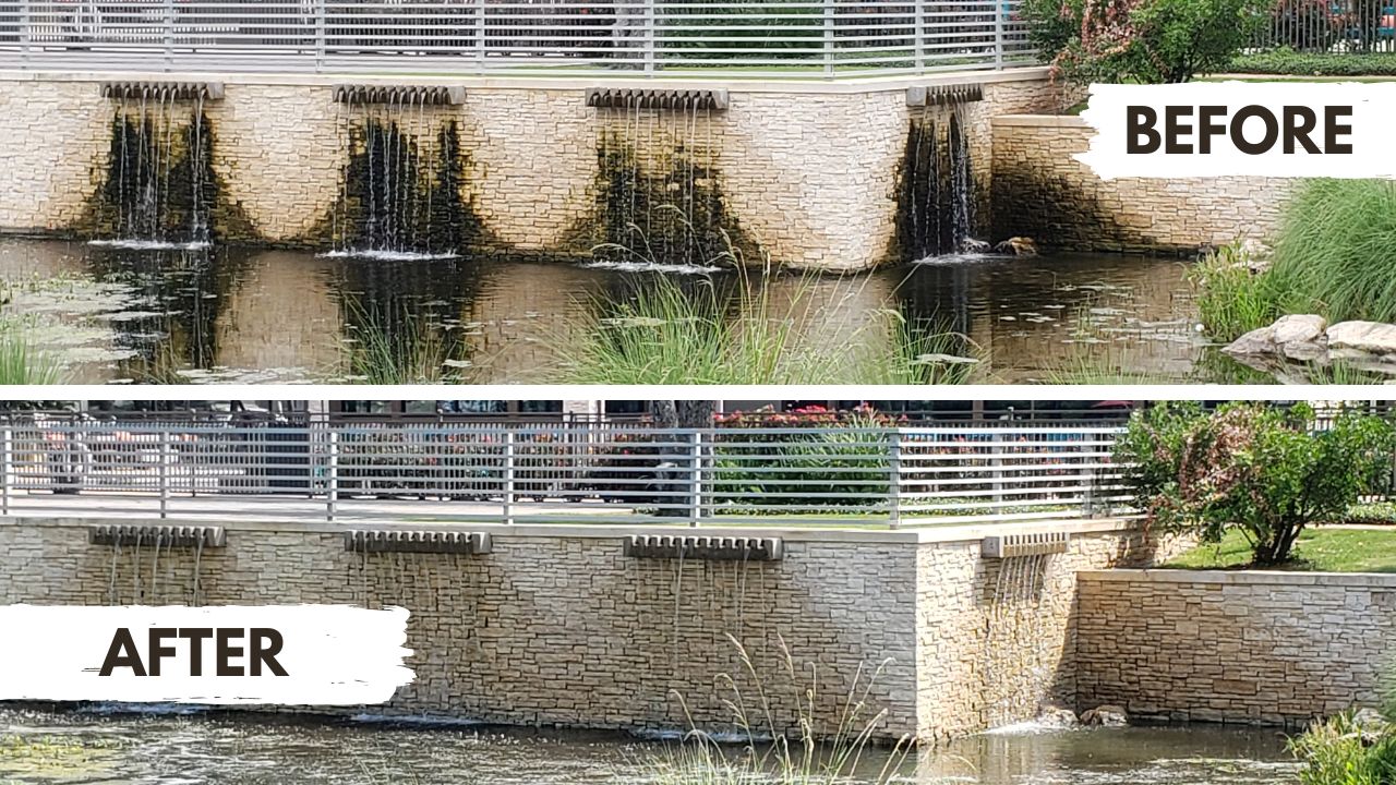 Projects Before and after cleaning the stone wall of a waterfall feature.